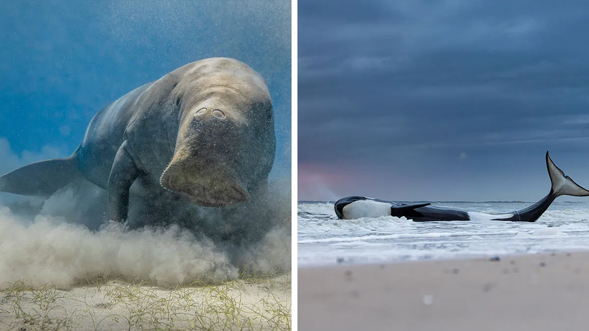 A Photographer Captures Nature’s Most Breathtaking Moments, And Here Are His 30 Best Shots