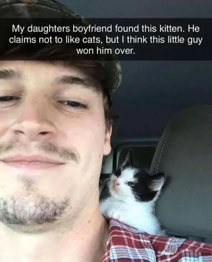 If You Need A Laugh, These 50 Cat Memes Have You Covered