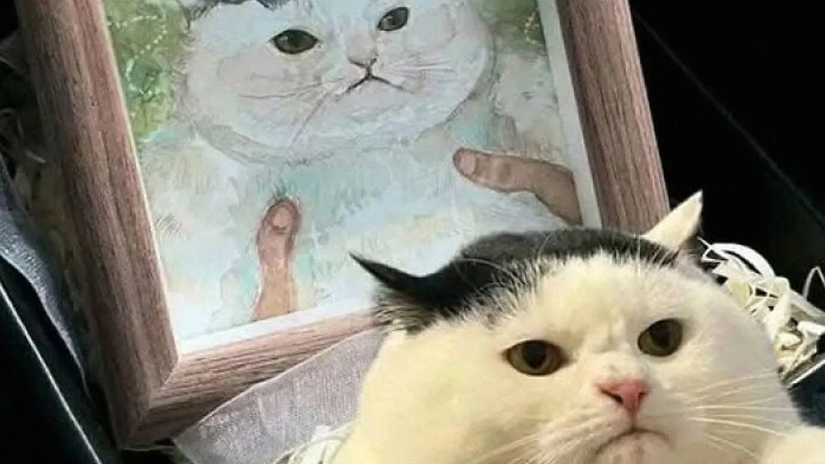 If You Need A Laugh, These 50 Cat Memes Have You Covered