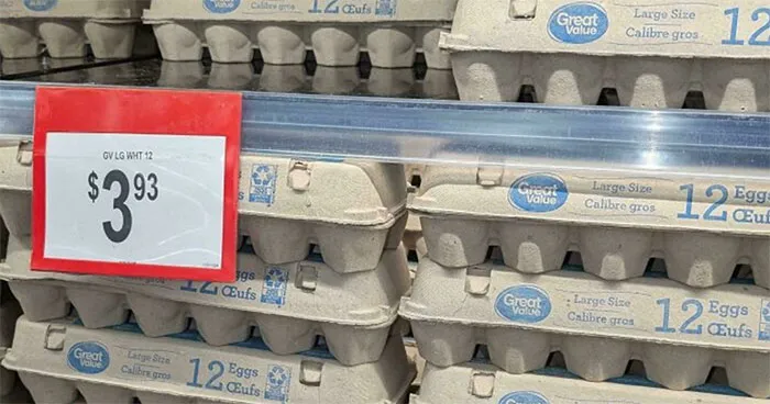 50 Small Yet Genius Things Some Countries Do That The Rest Of The World Needs Immediately