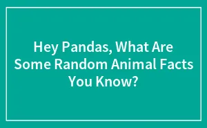 Hey Pandas, What Are Some Random Animal Facts You Know? (Closed)