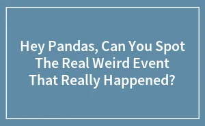 Hey Pandas, Can You Spot The Real Weird Event That Really Happened? (Closed)