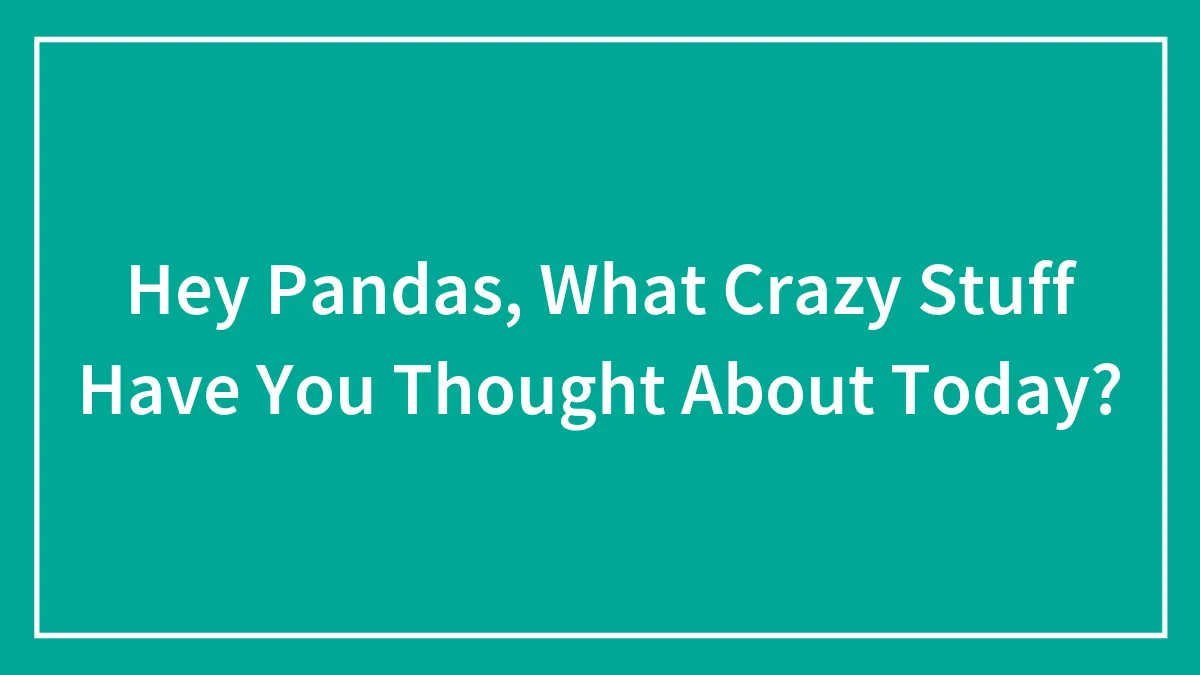Hey Pandas, What Crazy Stuff Have You Thought About Today? (Closed)