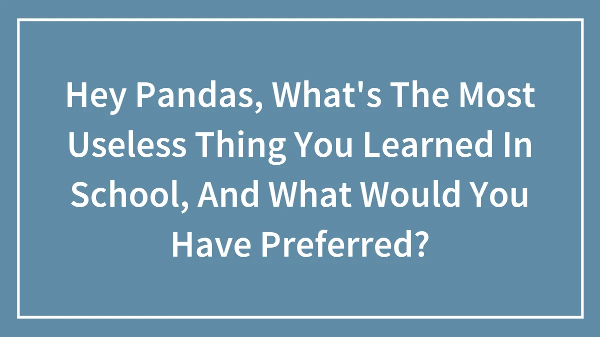 Hey Pandas, What's The Most Useless Thing You Learned In School, And What Would You Have Preferred? (Closed)