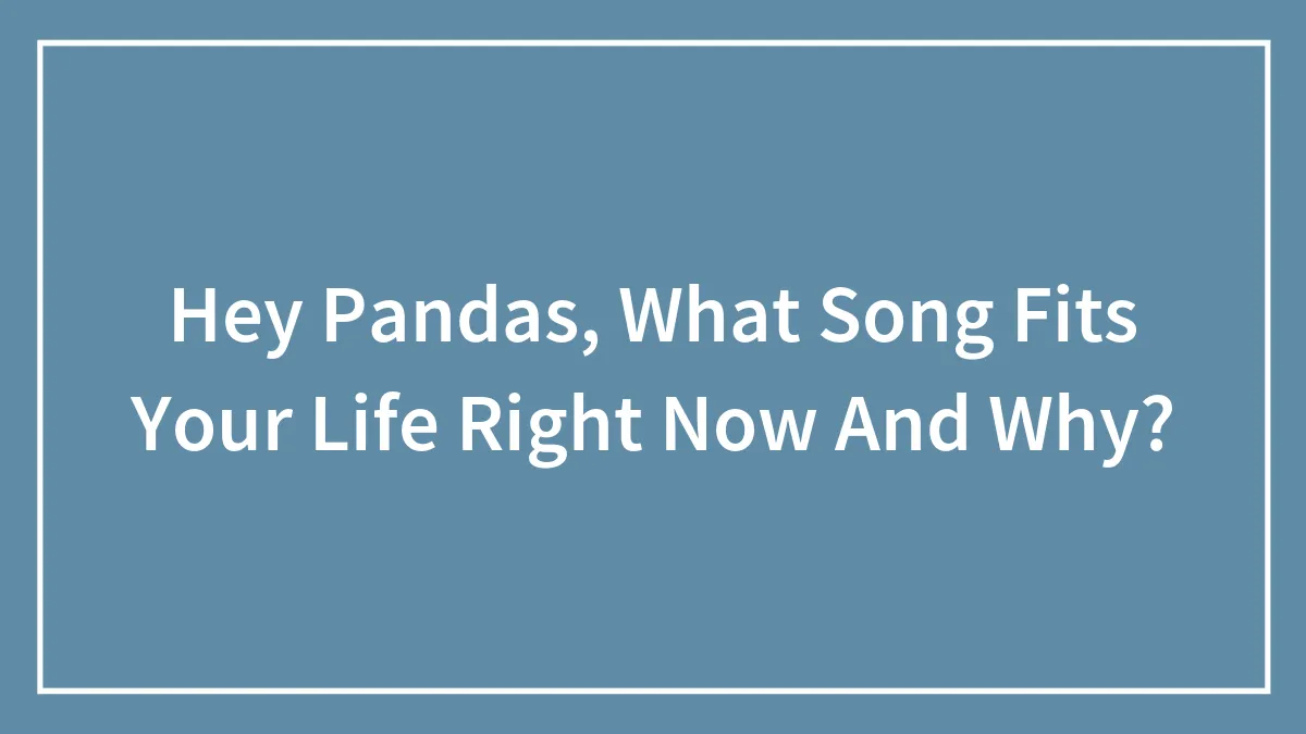 Hey Pandas, What Song Fits Your Life Right Now And Why?