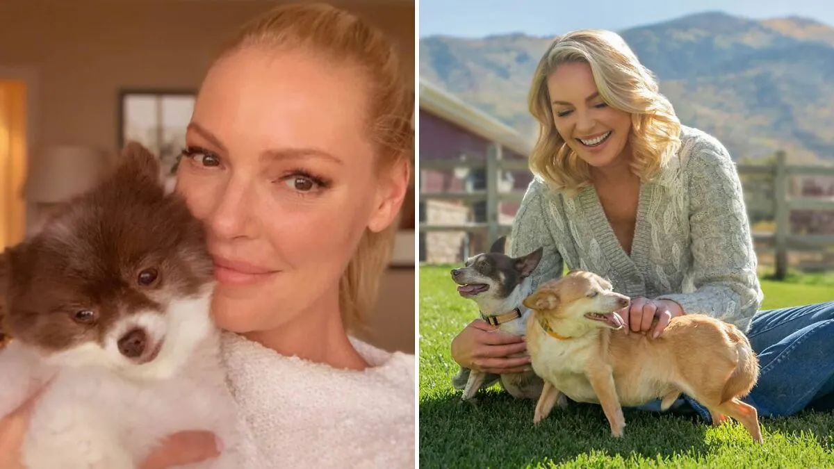 "Serial Complainer": Katherine Heigl Sues Dog Rescue For Alleging She Abandoned Puppies