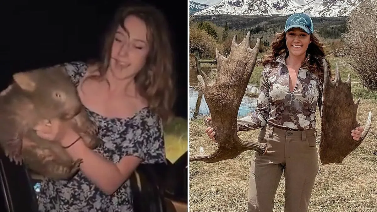 "Delusional": US Woman Who Snatched Baby Wombat From Its Mother Breaks Silence In Online Rant