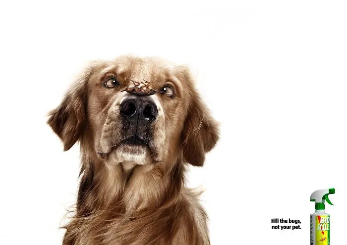 Paw-Sitive Impact: 29 Iconic Dog Ads That Stole Hearts Globally