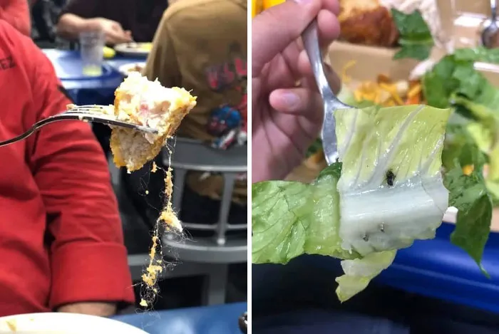 I See Your School Food And Raise You Us Navy Food!