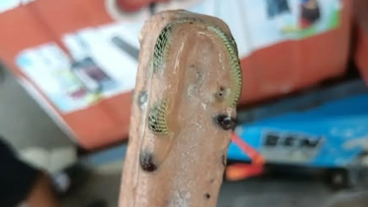 30 Times People Won The “Grossest Thing In Food” Bingo And Lost Their Appetite (New Pics)