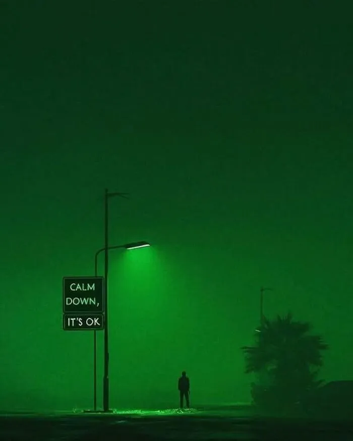 Mental health meme: Silhouette under streetlight with "Calm down, it's OK" sign in green fog.