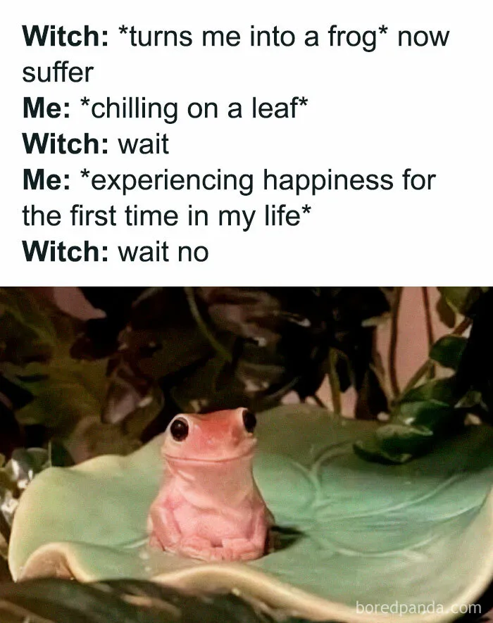 50 Random Funny Memes That You Might Want To Treat Yourself To (New Pics)