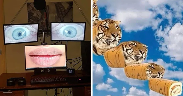 This Insta Page Shares Pics With Zero Context, Here Are 40 Of The Funniest And Weirdest Ones (New Pics)