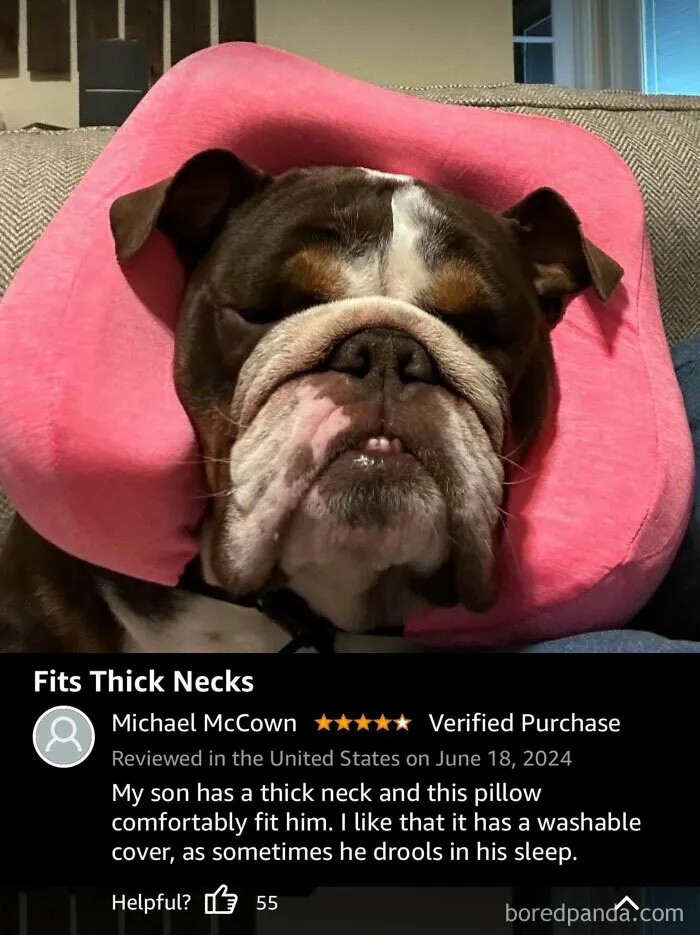 10/10 Review Very Helpful