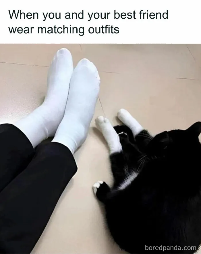 Twins