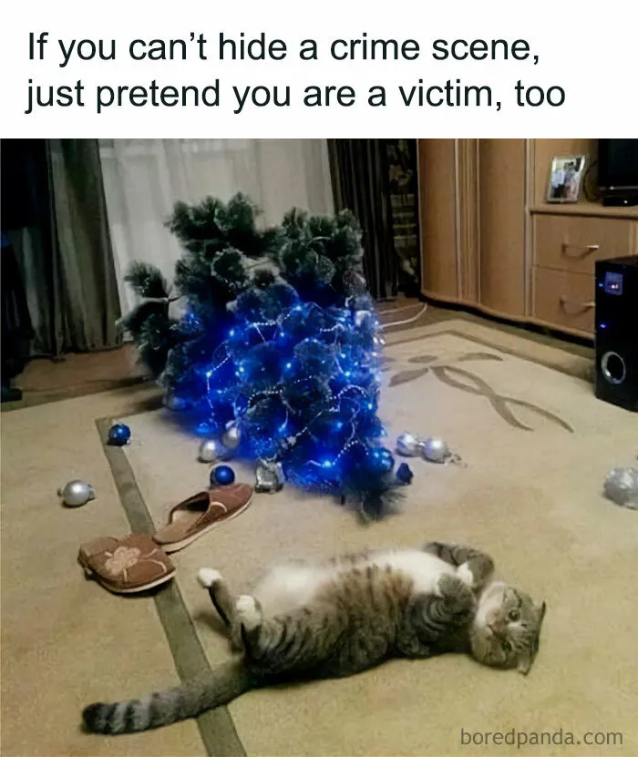 The Dog Did It