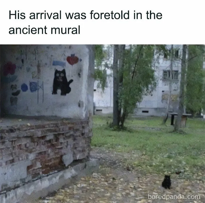 The Prophecy Is True