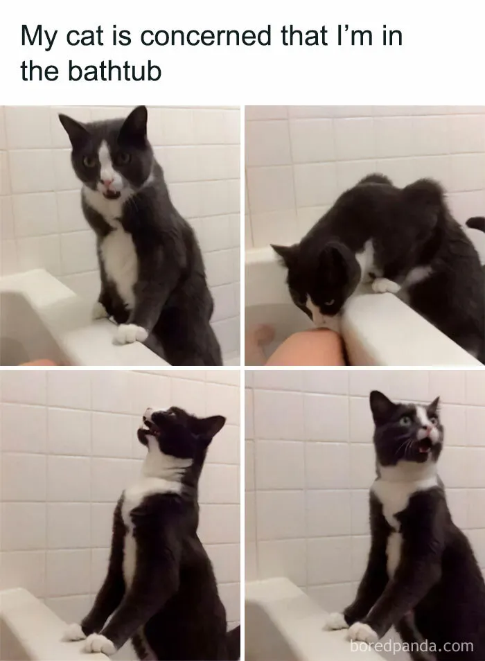 "Someone, Please Help!"