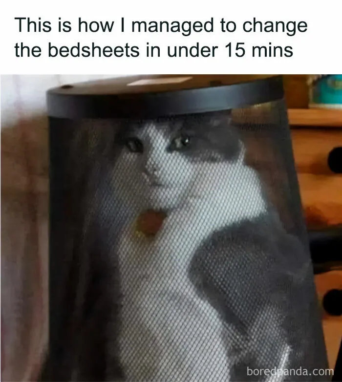 Genius 😂