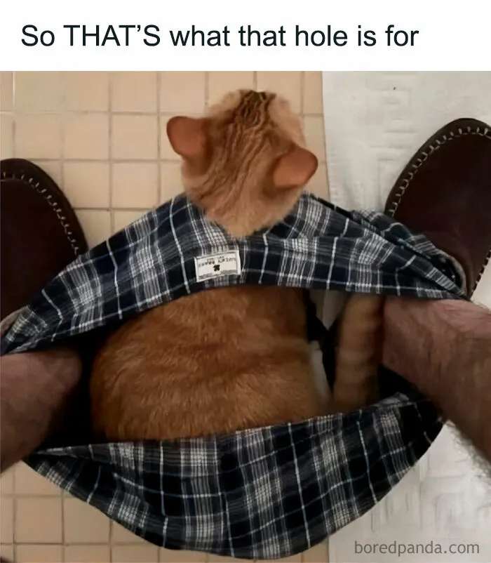 Makes Sense