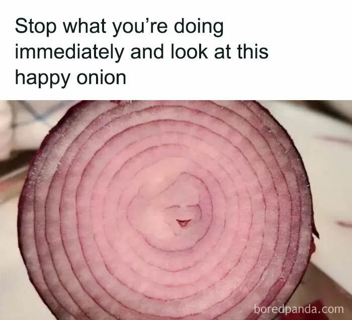 “A Meeting Without Food Should Be An Email”: 50 Funny Memes From This Dedicated Page