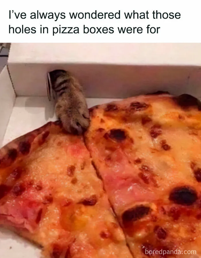 “A Meeting Without Food Should Be An Email”: 50 Funny Memes From This Dedicated Page