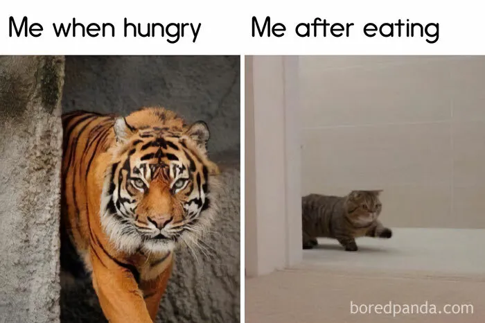 “A Meeting Without Food Should Be An Email”: 50 Funny Memes From This Dedicated Page