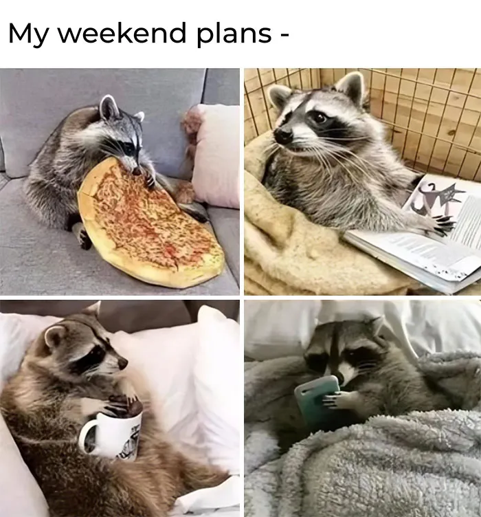 “A Meeting Without Food Should Be An Email”: 50 Funny Memes From This Dedicated Page