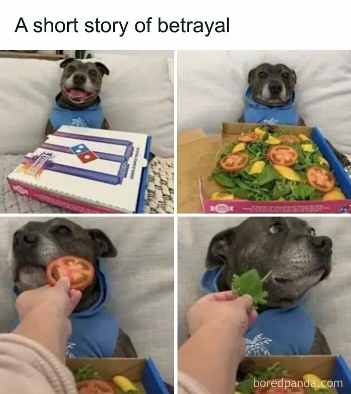 “A Meeting Without Food Should Be An Email”: 50 Funny Memes From This Dedicated Page