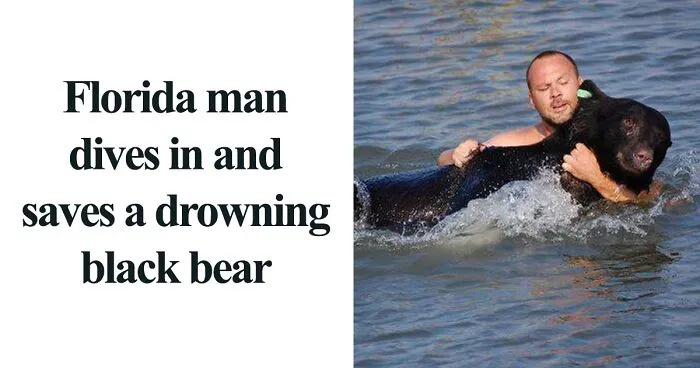50 Times A Floridian Woke Up And Chose Absolute Unhinged Chaos