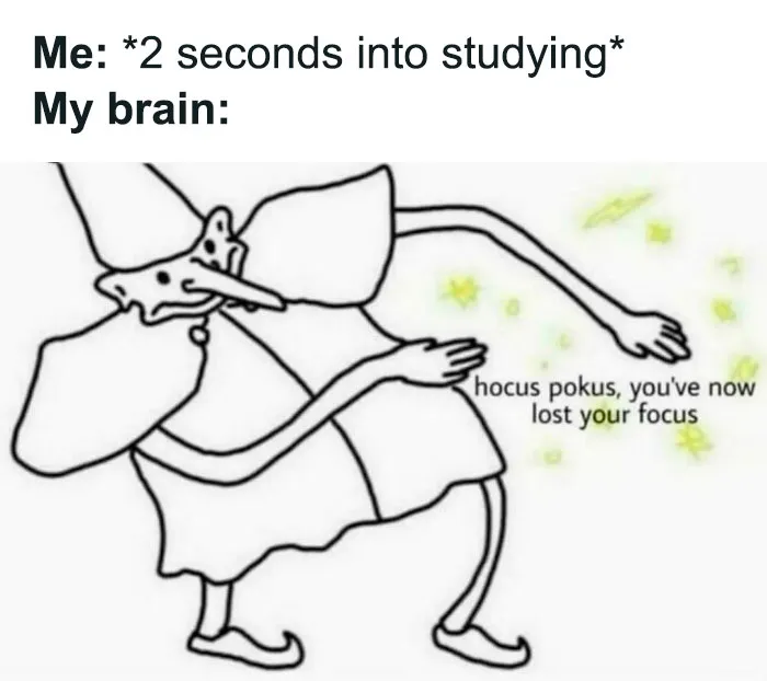 35 Random Memes To Help You Laugh Through The Madness Of The Mundane (New Pics)