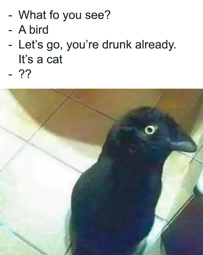 35 Random Memes To Help You Laugh Through The Madness Of The Mundane (New Pics)