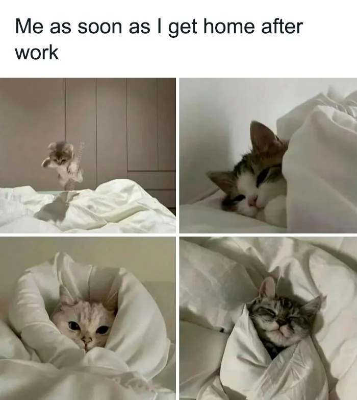 35 Random Memes To Help You Laugh Through The Madness Of The Mundane (New Pics)
