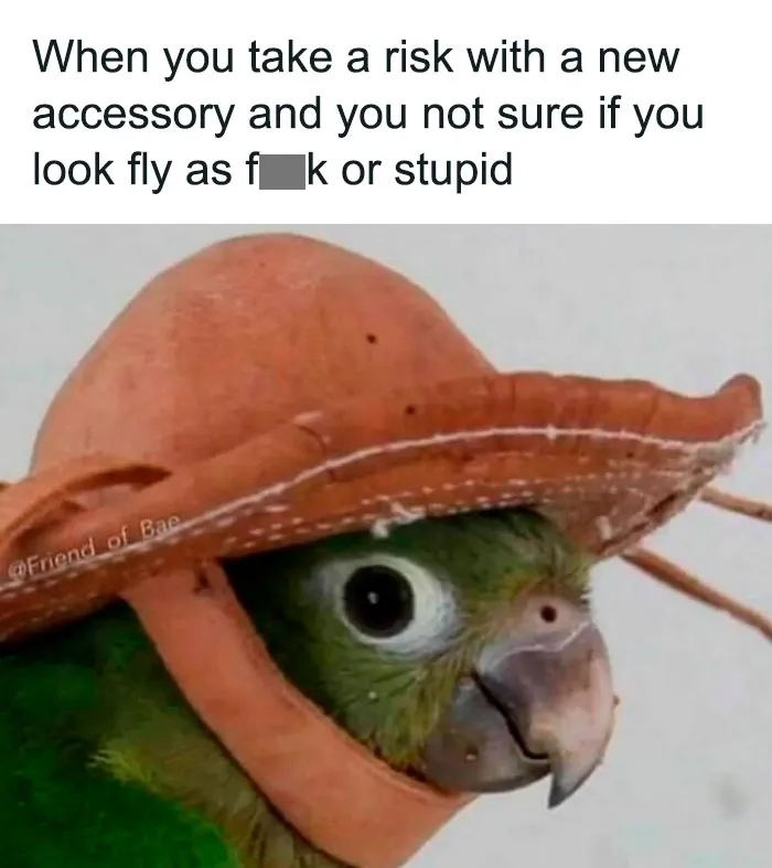 35 Random Memes To Help You Laugh Through The Madness Of The Mundane (New Pics)