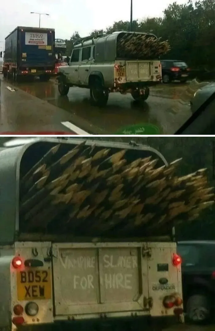 50 Random Pictures So Weird and Funny You Can't Look Away