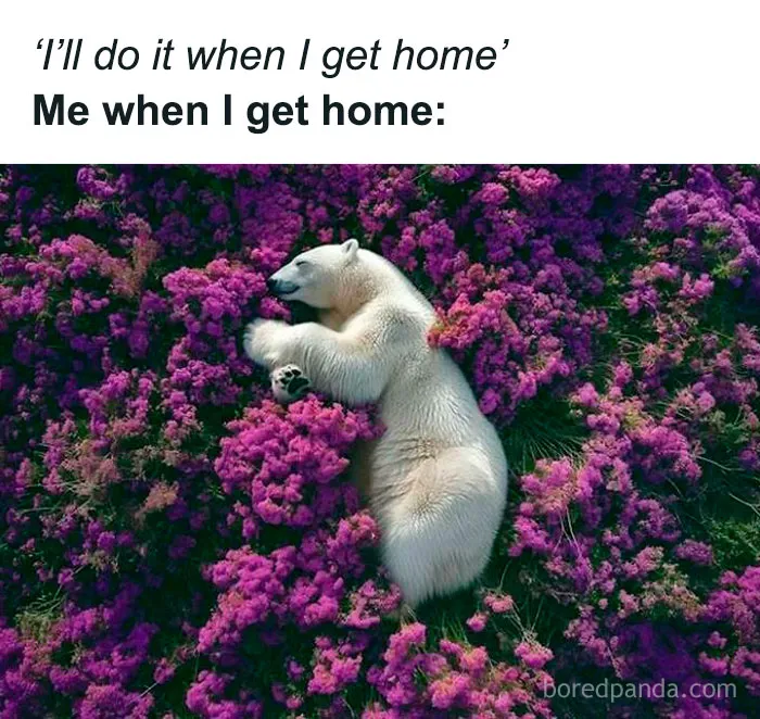 “Crying On The Inside. Laughing On The Outside”: 50 Spot-On Memes From The ‘Sadcasm’ Page (New Pics)