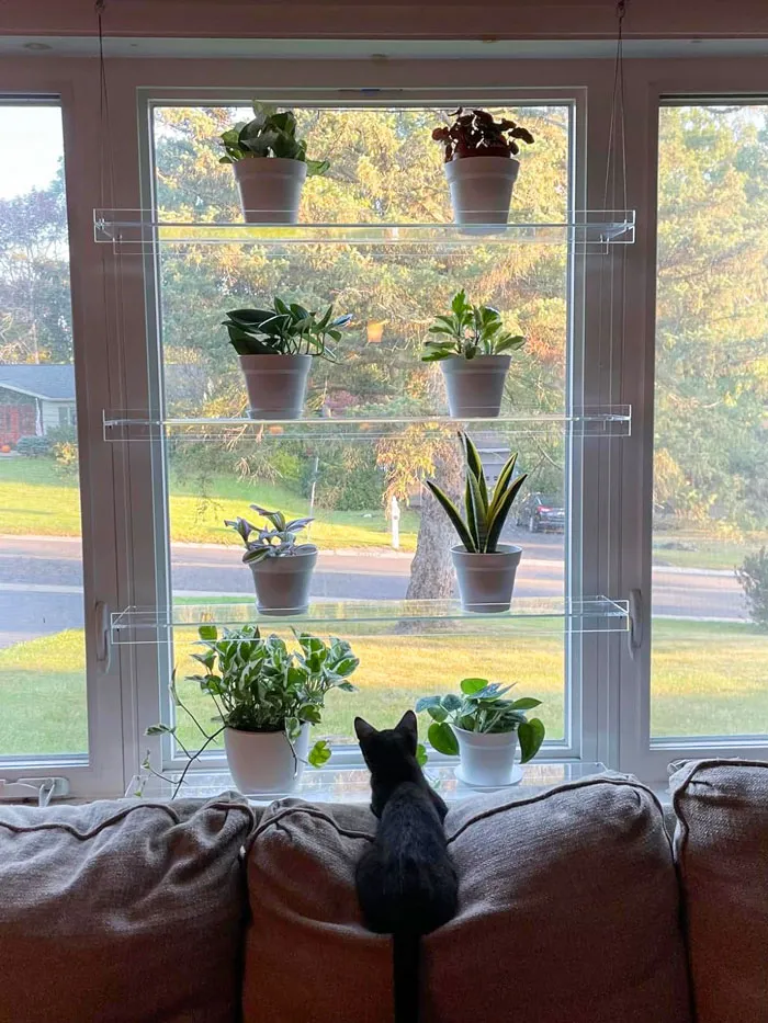 Love Was Clearly "On The Shelf" For Many, As The <a Style="Display:inline;" Href="Https://Www.amazon.com/Supremetech-Hanging-Acrylic-Shelves-Windows/Dp/B085h94k16?ie=utf8&th=1&linkcode=ll1&tag=bplion-20&linkid=0cb4ff91fdfdfb0d7a16402ac027b2b5&language=en_us&ref_=as_li_ss_tl" Target="_blank"><span Style="Font: Inherit; Color: #d74b1f;"> Hanging Acrylic Shelves For Windows </Span> Won Hearts With Its Sleek Design, Versatility, And Ability To Add A Touch Of Elegance To Any Room, Making It A Match Made In Heaven For Home Decor Enthusiasts