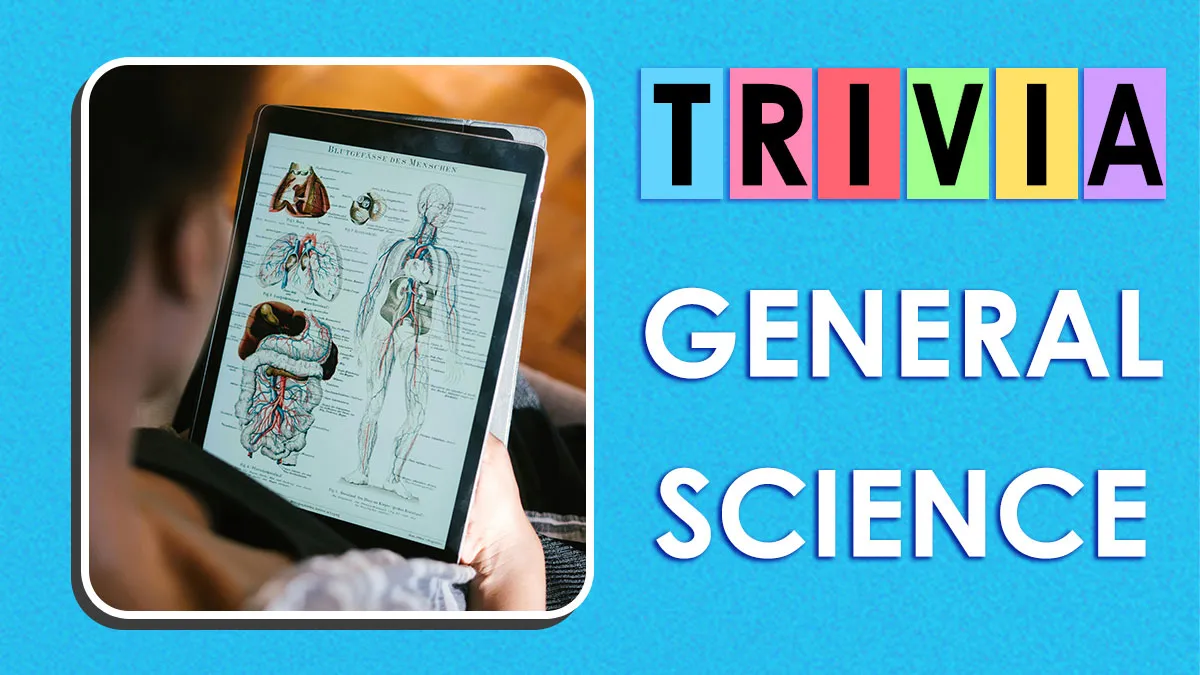 “Are You As Smart As A High School Student?”: Try To Pass This Science General Knowledge Test