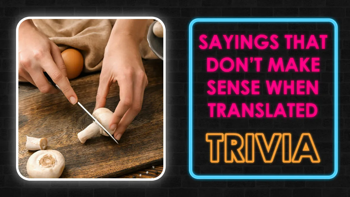 “Can You Score A 15/26 By Matching The Saying To Its Real Definition?”: Challenge Yourself