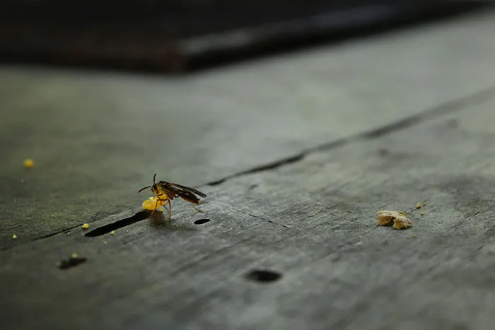 25 Real-Life Health Inspector Stories That Might Make You Lose Your Appetite