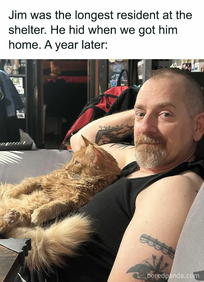 50 Wholesome And Heartwarming Posts That Might Make Your Day Better