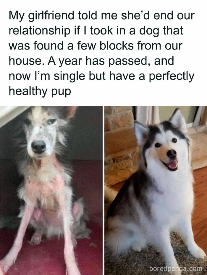 50 Wholesome And Heartwarming Posts That Might Make Your Day Better