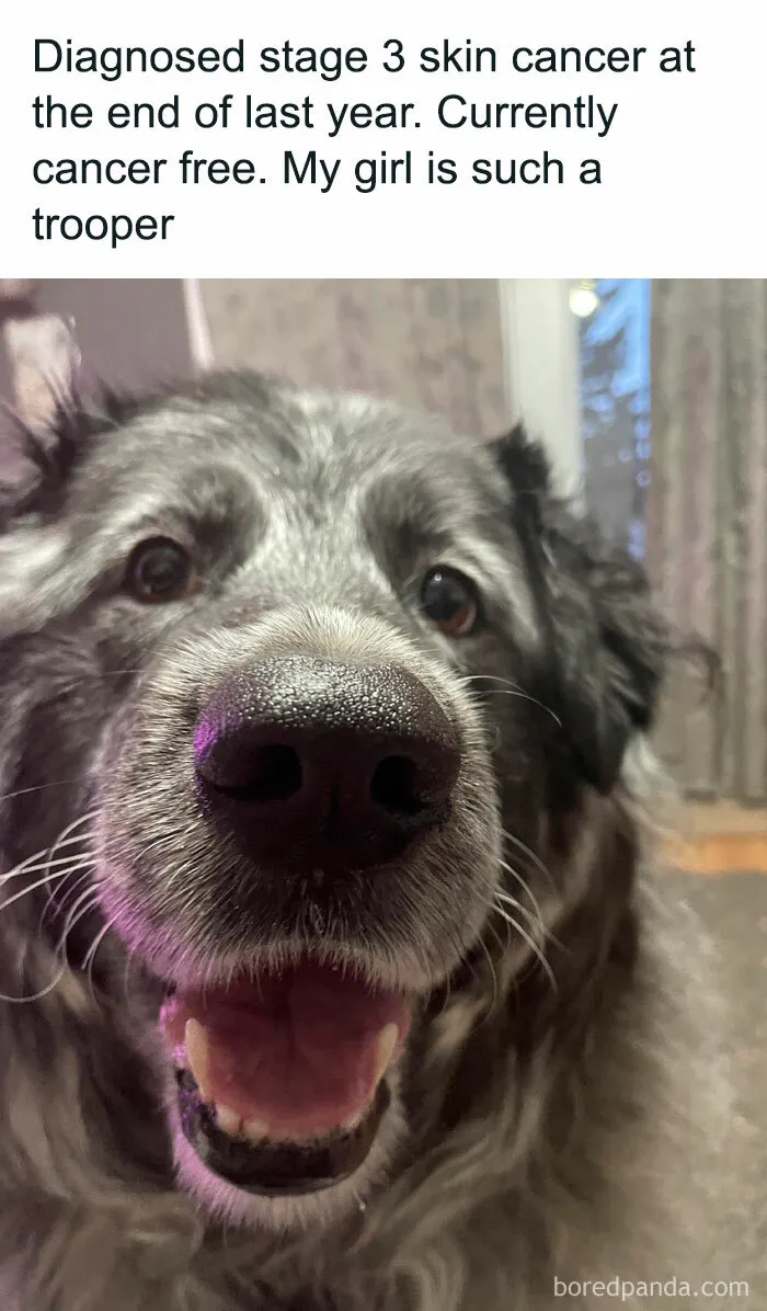 50 Wholesome And Heartwarming Posts That Might Make Your Day Better