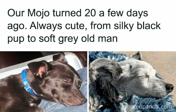 50 Wholesome And Heartwarming Posts That Might Make Your Day Better