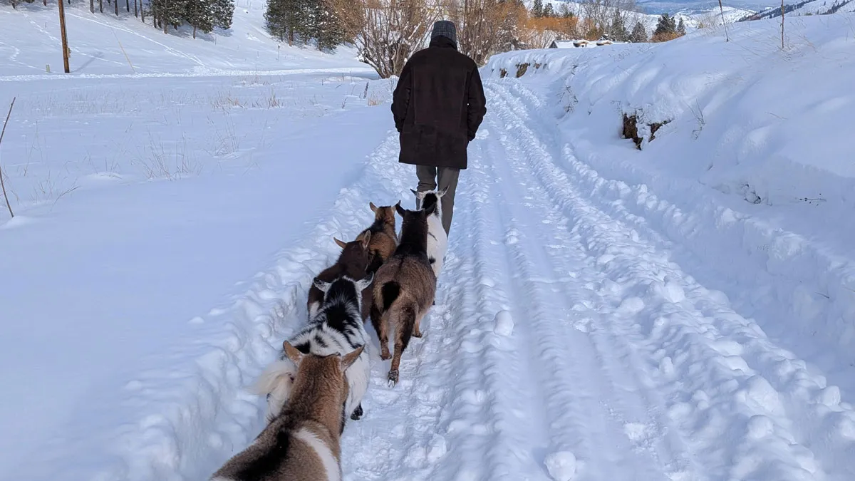 50 Wholesome And Heartwarming Posts That Might Make Your Day Better