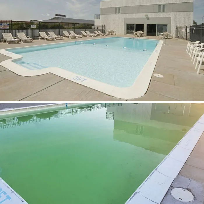 Booked A Room In Kansas On A Cross Country Road Trip, Told My Daughter She Could Swim When We Got To The Hotel