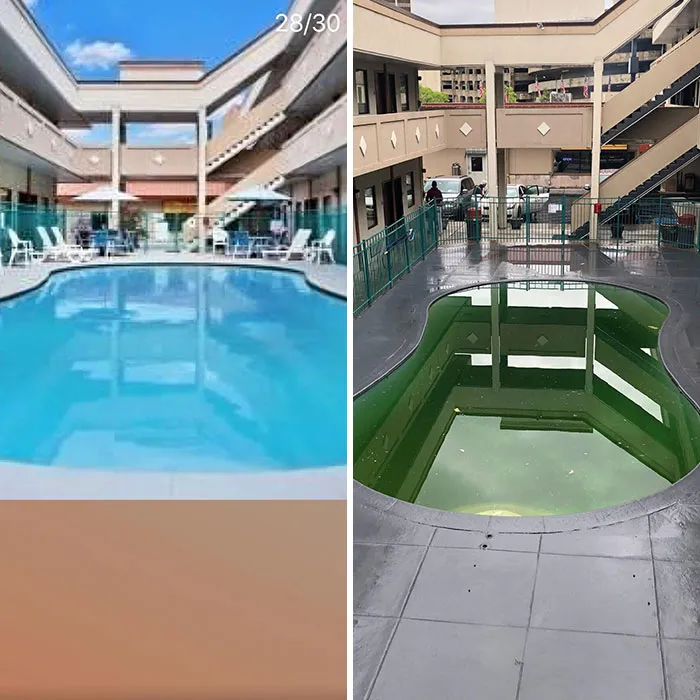 Expectation vs. Reality