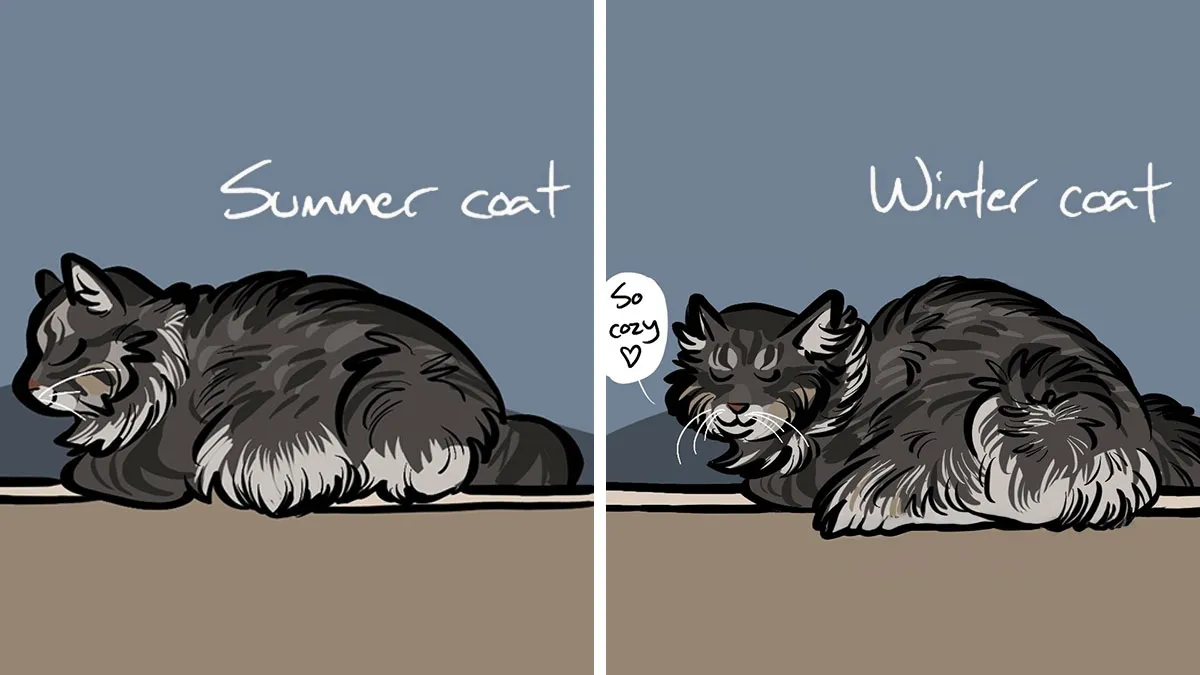 Artist Created 25 Relatable Comics That Perfectly Capture Life’s Struggles