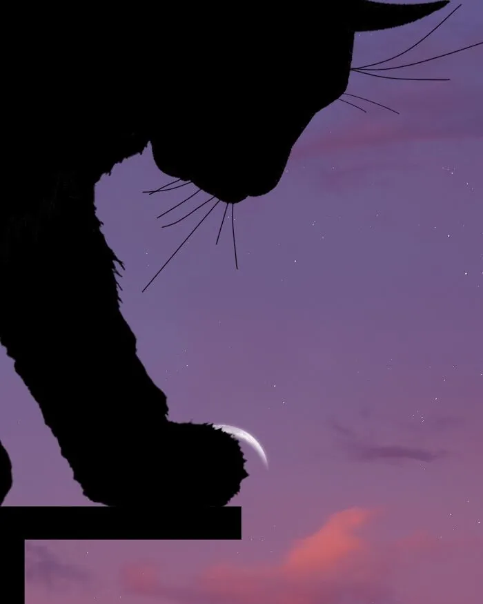 Silhouette Photography By Lân Nguyen (30 Pics)
