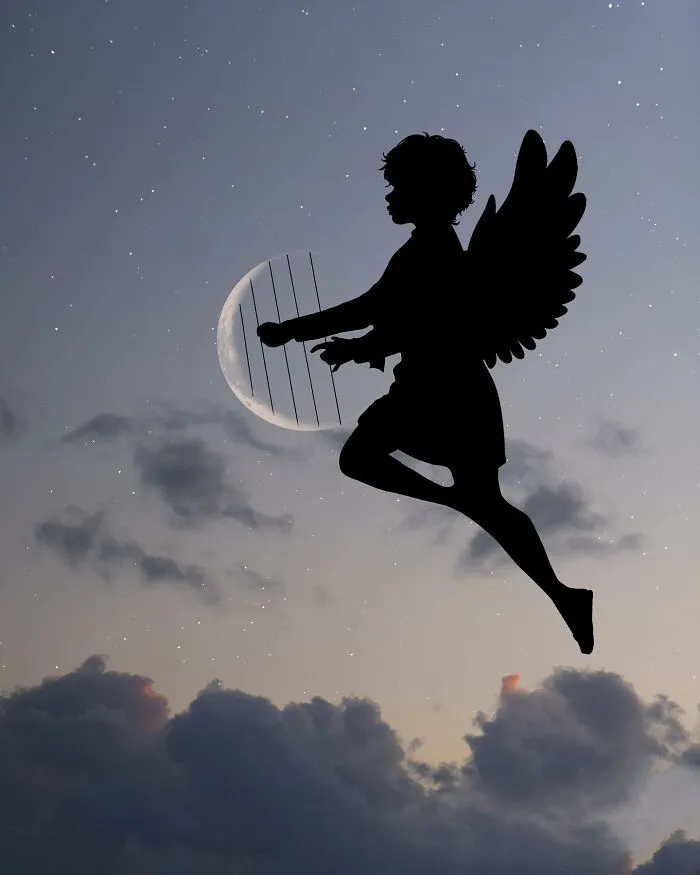 Silhouette Photography By Lân Nguyen (30 Pics)